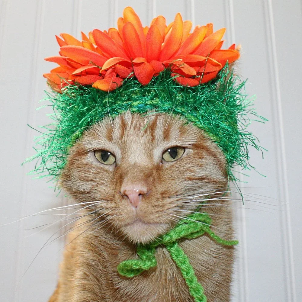 HAND CRAFTED Flower Child Cat Hat Crochet Hairy Wig Costume Photo Prop
